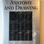 Anatomy and Drawing